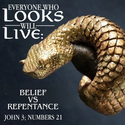 Belief, Not Repentance: The Bronze Serpent in John